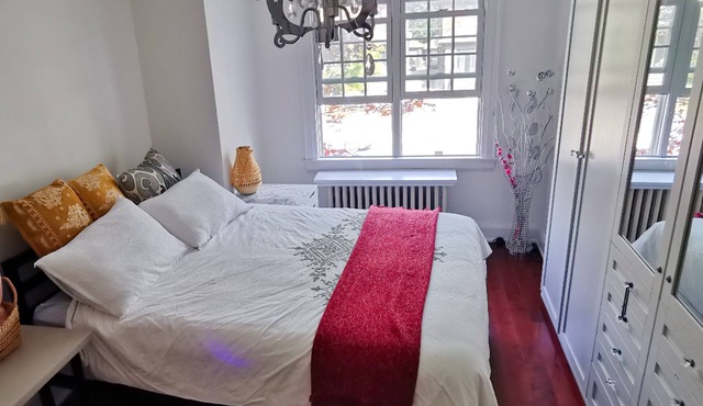 Toronto central area spacious room