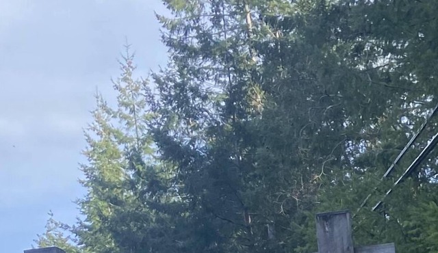 Tranquil RV Park