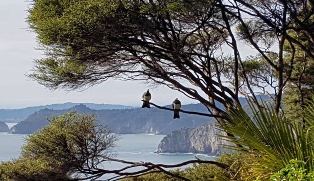 ~ TWO IN THE BUSH ~