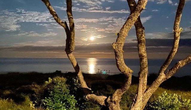 Whiritoa At Its Best