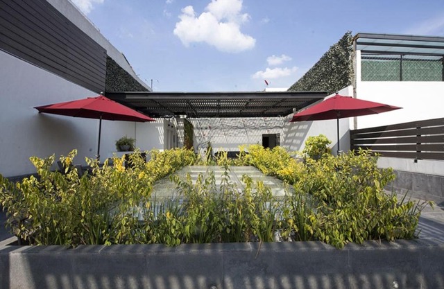 4Px Eco friendly Apartment with trendy Rooftop!