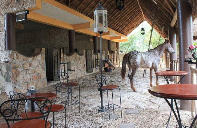 Finca La Caprichozza 
