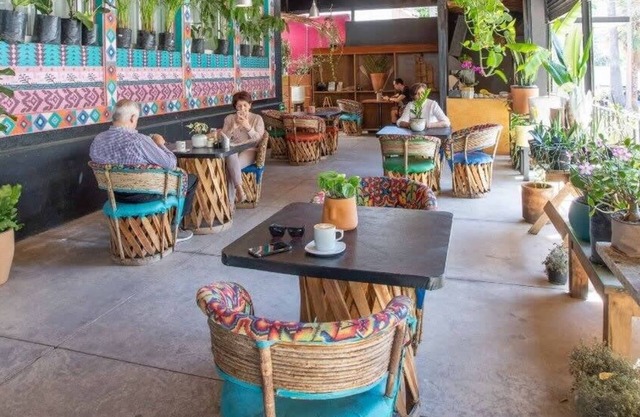 La Paz & Love Hostel | Private Room l Pet Friendly