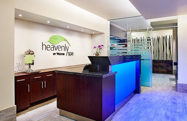 THE WESTIN LAGUNAMAR OCEAN RESORT VILLAS & SPA, oceanfront resort!