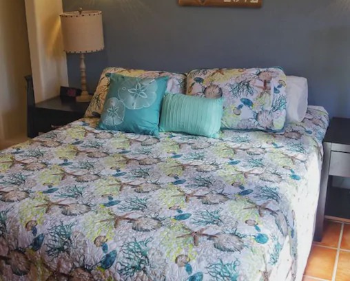 Benito Juarez Apartment | 2 BR + 2 BA condo El Pueblo C2 Puerto Peñasco