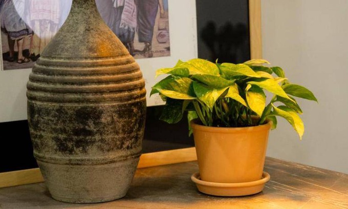 Puebla Historic Center Apartment | 93 m² Apartment ∙ 2 bedrooms ∙ 4 guests