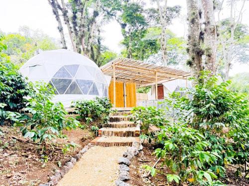 Xalapa Other | Alma Glamping