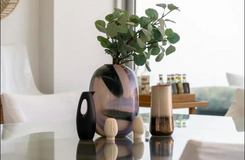 Flamingos Apartment | Beach Heaven Vallarta