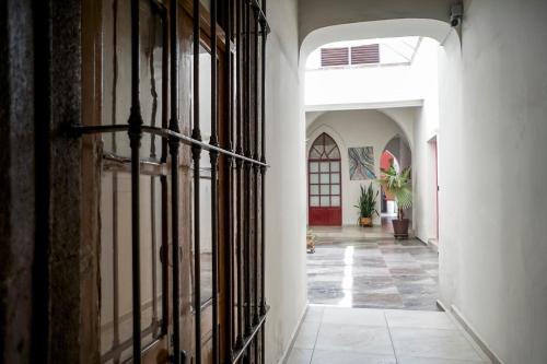 Centro Historico Hostel | Casa Morelos StayHouse