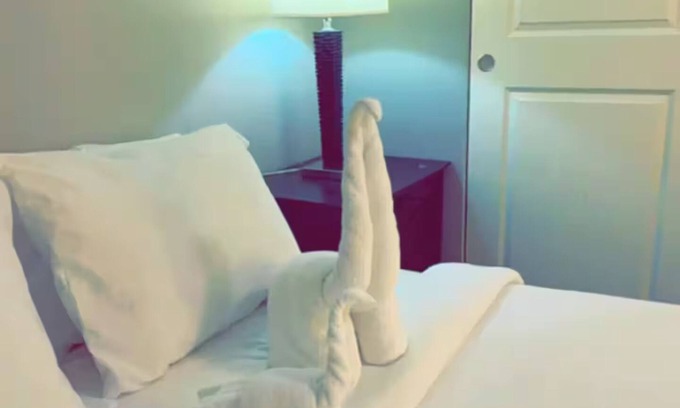 Wayne House | DTW Metro-Airport entire cozy house