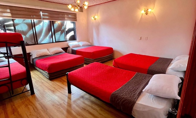 Venustiano Carranza Hostel | Gran México