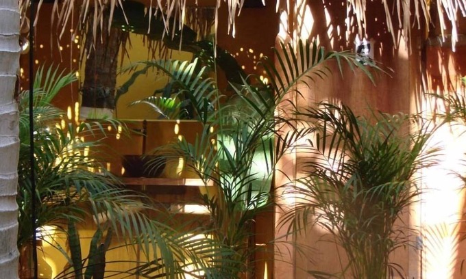 San Francisco Hostel | Hostal San Pancho - Hostel