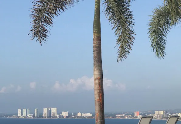 South Shore Hotel Area Condo | Indah by Sayan 8B -LUXURY OCEAN FRONT- 3BR/3BA