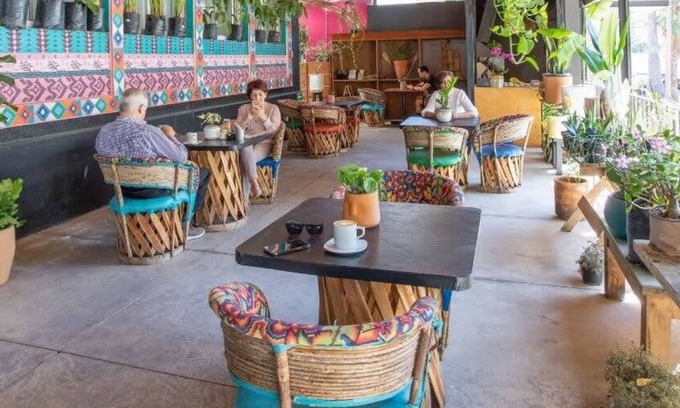 Lafayette House | La Paz & Love Hostel | Private Room l Pet Friendly