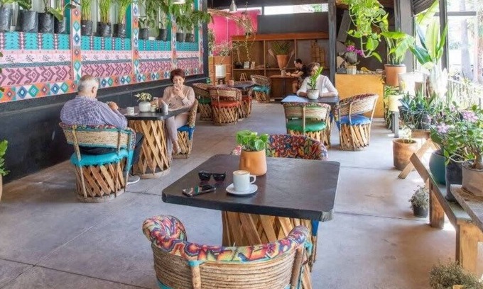 Lafayette House | La Paz & Love Hostel | Private Room l Pet Friendly
