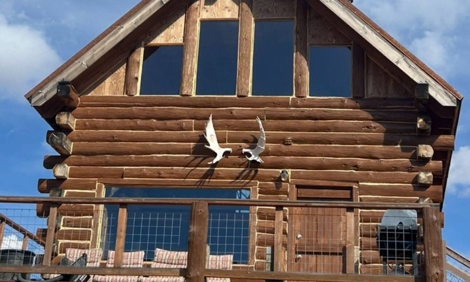 Collbran Cabin | Log cabin with views , Vega Reservoir, Collbran Colorado cabin