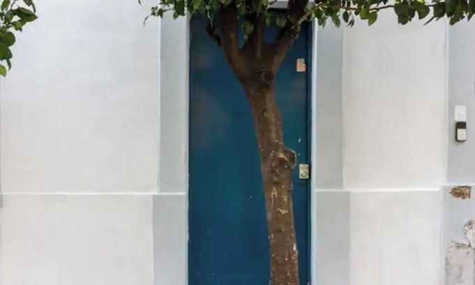 Guadalajara Apartment | Nice Apartment, close to City Center and Chapultepec Area