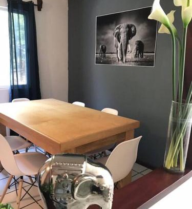 Zapopan Apartment | Posadas nido del tecolote