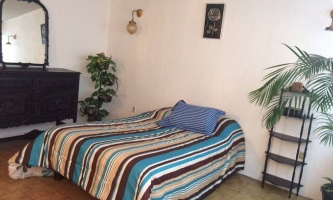 Coyoacan Resort | Private room ∙ 1 guest