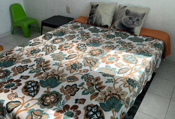 Queretaro Resort | Private room ∙ 1 guest