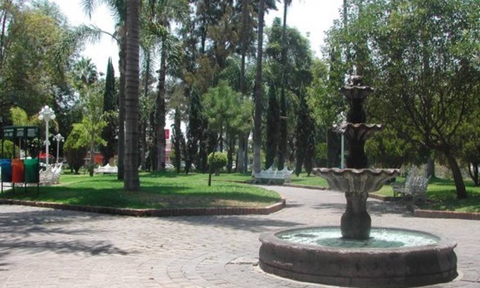 Zapopan Resort | Private room ∙ 1 guest