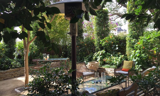 Russian Hill Apartment | Quiet Garden Flat, Prime Russian Hill: Corona Hideaway!