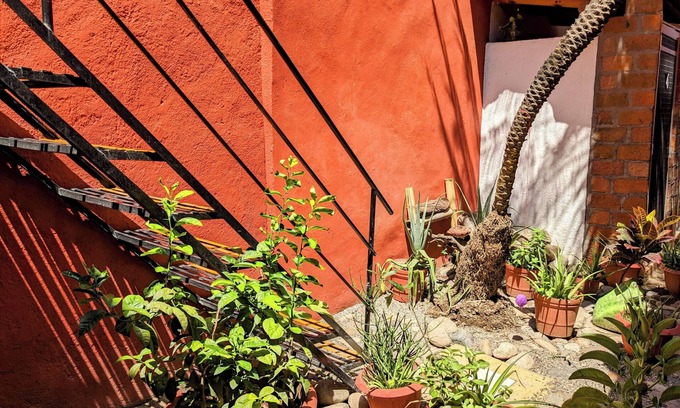 Downtown Puerto Vallarta Hostel | Teocalli Hostel Adults Only