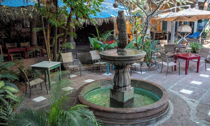 La Cruz de Huanacaxtle Hostel | The Octopus's Garden