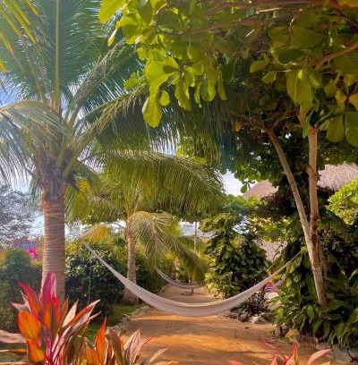 Troncones Hostel | Troncones Point Hostel