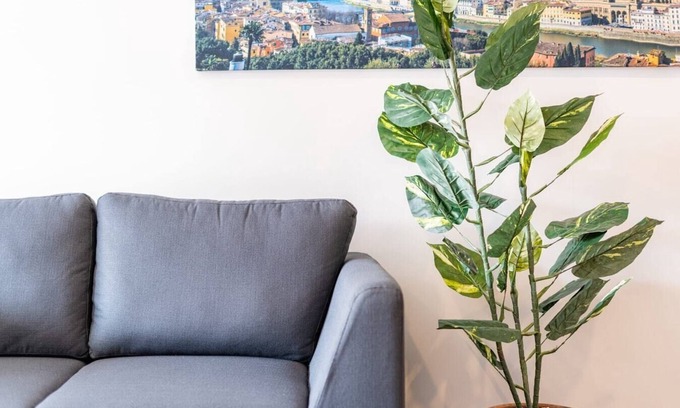 Zona Rosa Apartment | VH | Nice loft | wifi | Roma Nte | 305