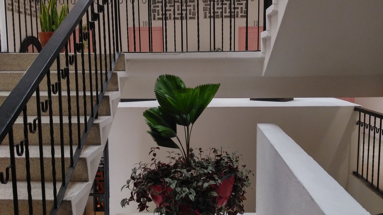 Photo of Patio Balcony in Emiliano Zapata
