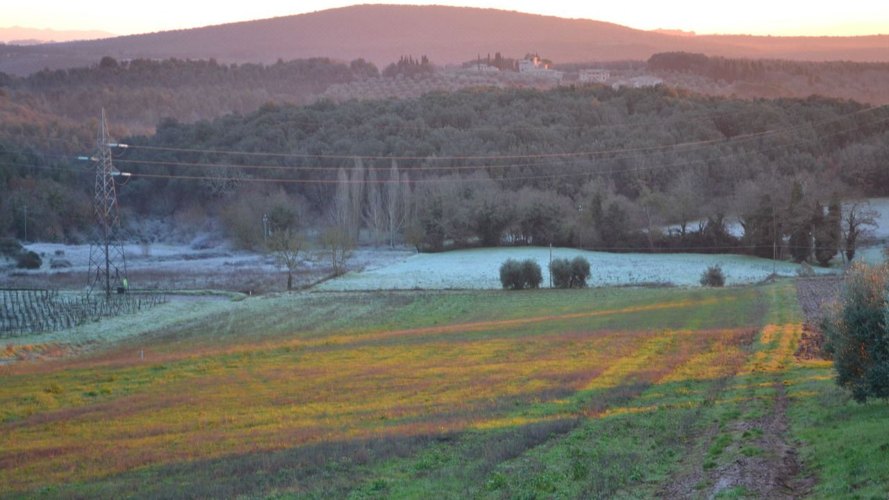 Photo of Outdoor in Ancaiano