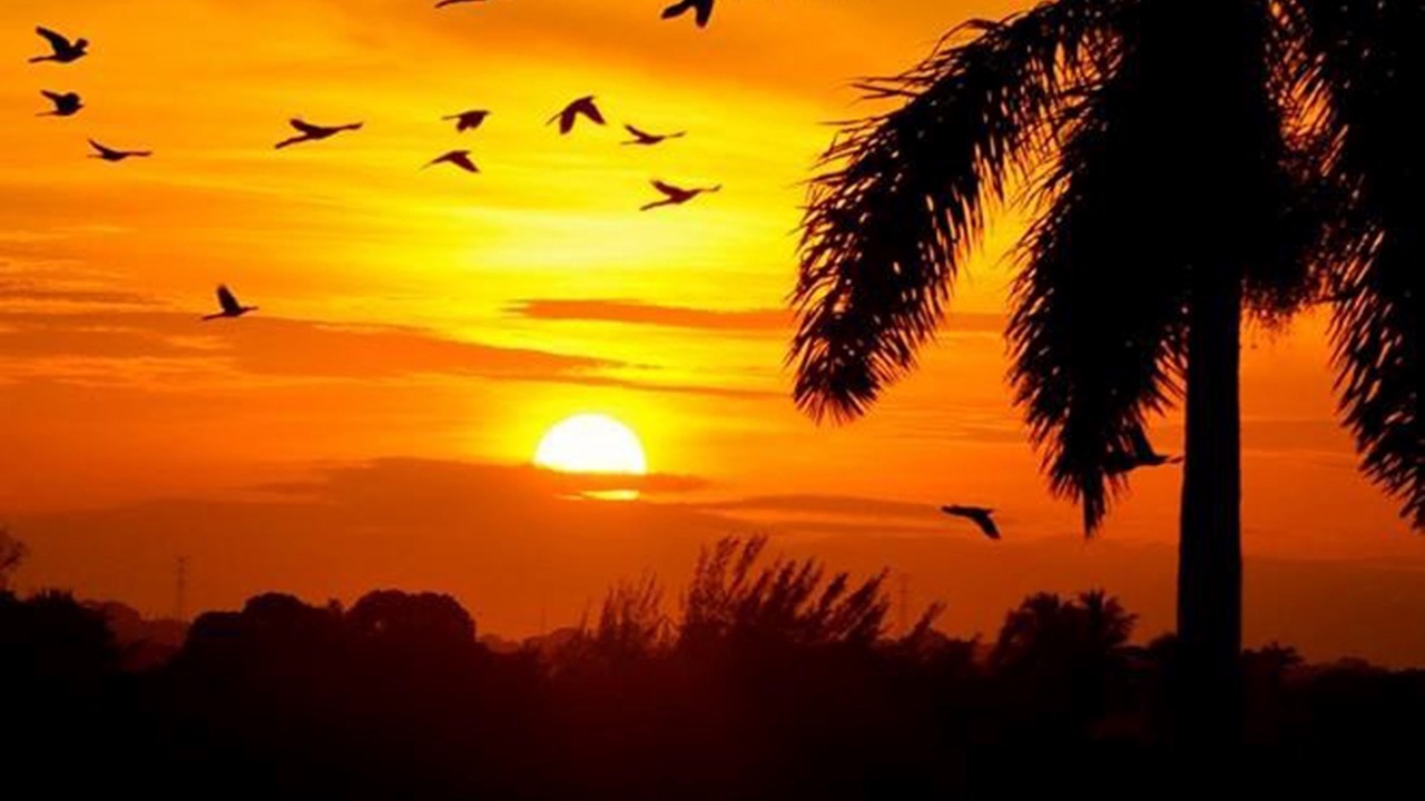 Photo of Outdoor in Tuxpan