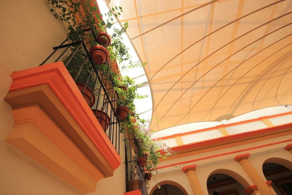 Photo of Others in Zona Centro