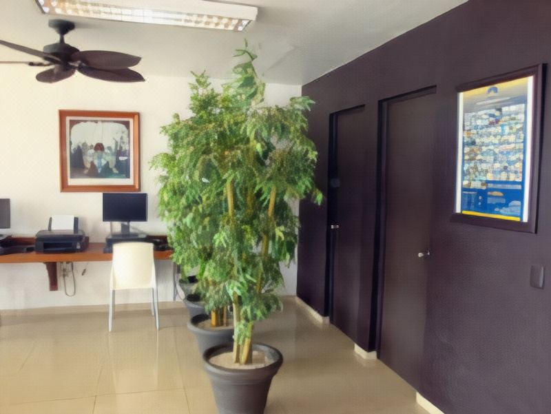 Photo of Livingroom in Tuxpan