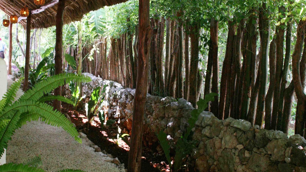 Photo of Others in Chichen Itza