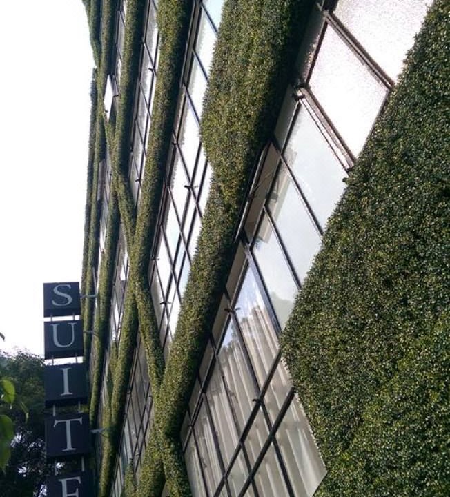 Photo of Buildings in Zona Rosa