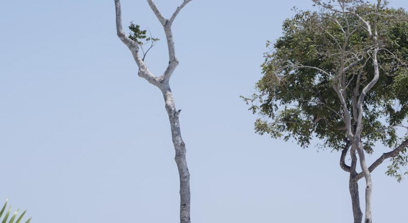 Photo of Others in Brisas del Marques