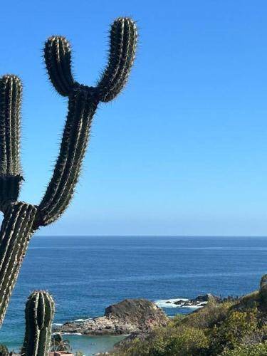 Photo of Others in San Agustinillo
