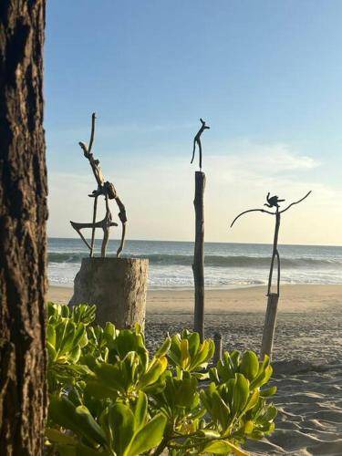 Photo of Others in San Agustinillo