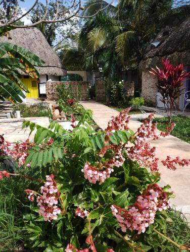 Photo of Others in Izamal