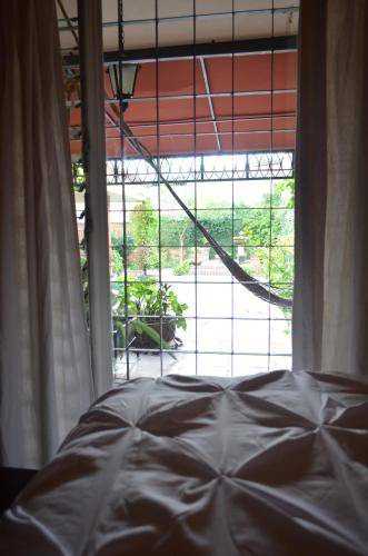 Photo of Others in Colima