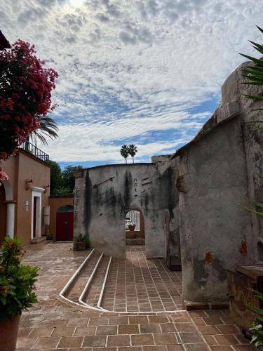 Photo of Others in Alamos
