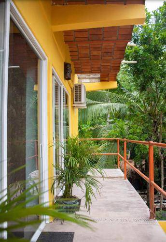 Photo of Others in Sayulita