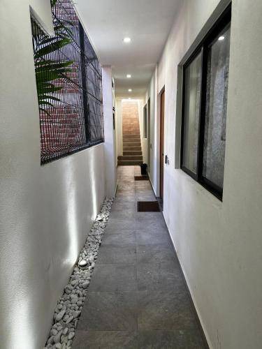 Photo of Others in Puerto Vallarta