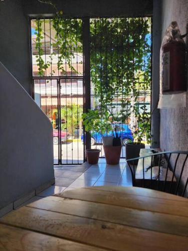 Photo of Livingroom in Lazaro Cardenas
