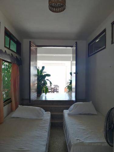 Photo of Others in Playa la Madera