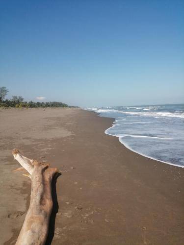 Photo of Others in Monte Gordo