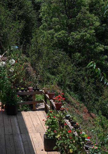 Photo of Others in San Jose del Pacifico