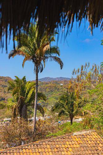 Photo of Others in Sayulita